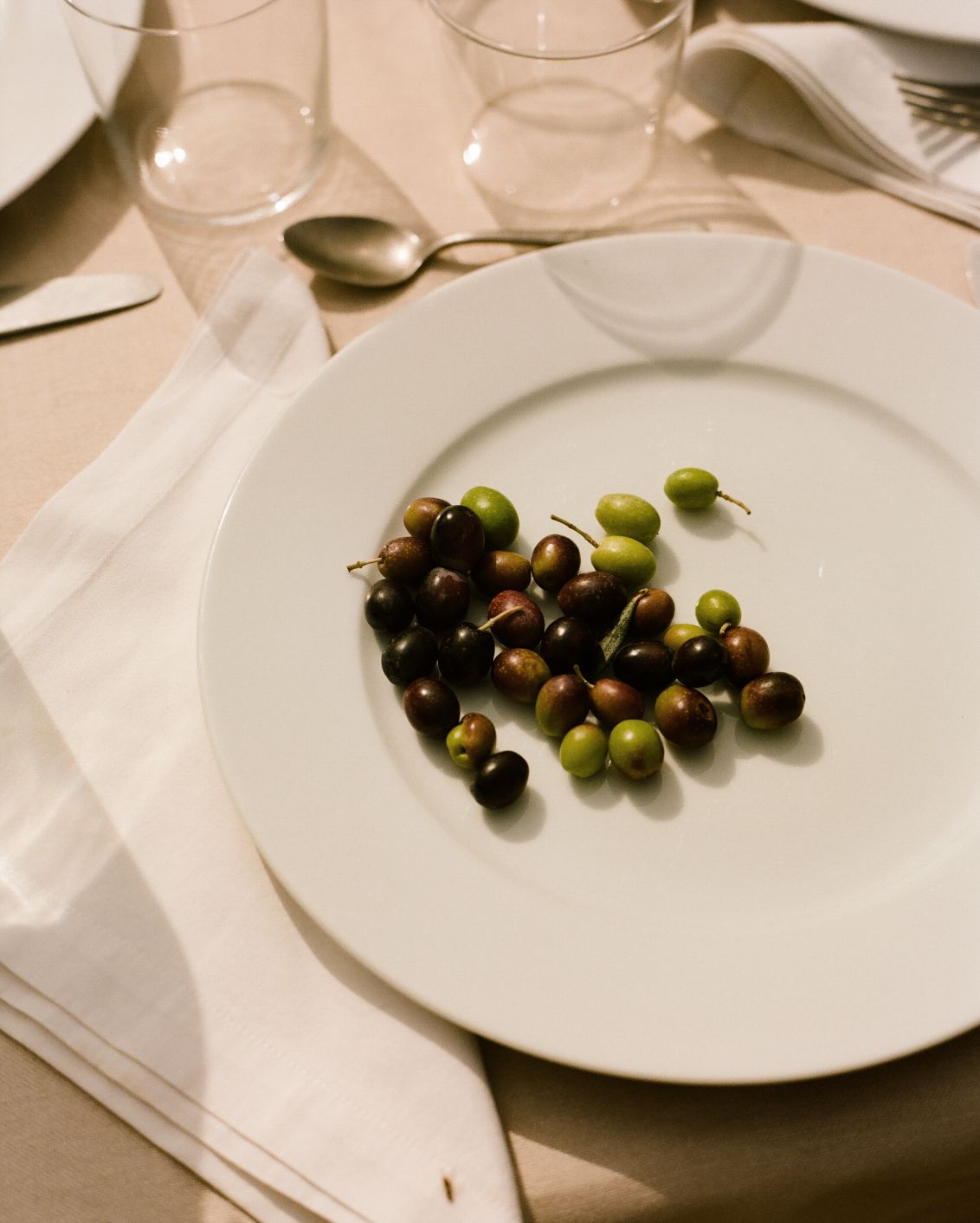 06 DH Design Anthology Italy Rastrello Dining Olives