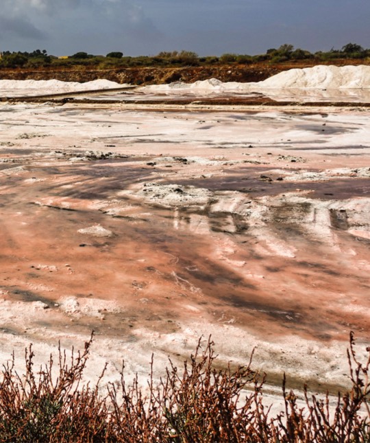 06 Destination Portugal Algarve East Formosa National Park