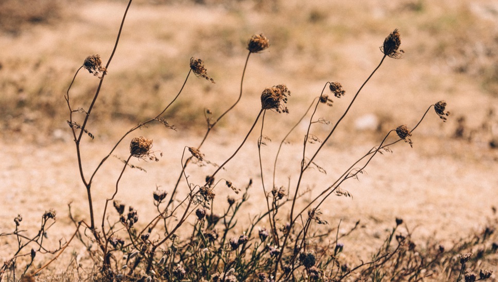 DH Destination Greece 05 (1)