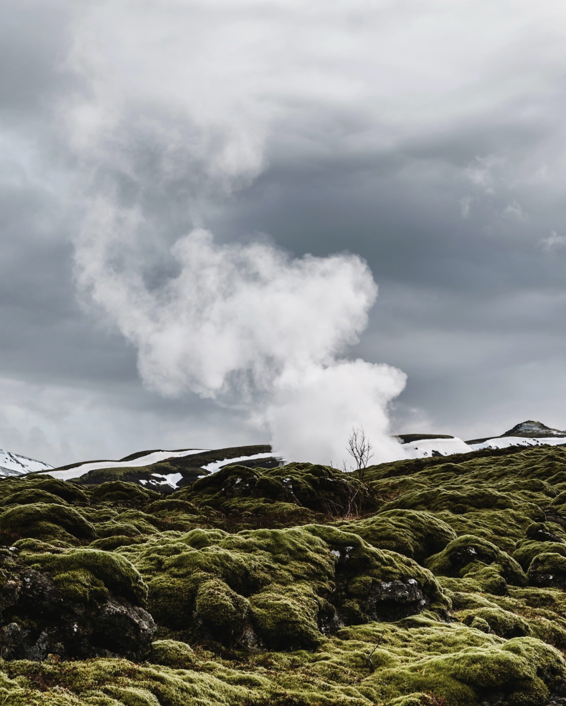 029 Foggy Destinations BP