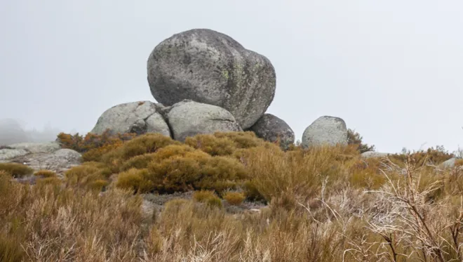 003 Foggy Destinations BP