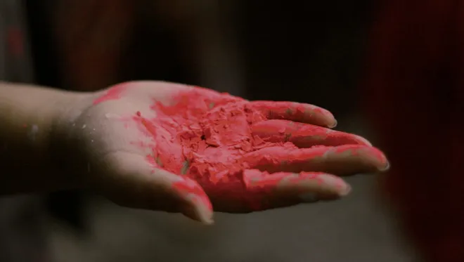 Destination Mexico Color