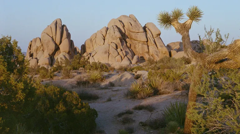 Hotel Wren Theme Box 01 Destination