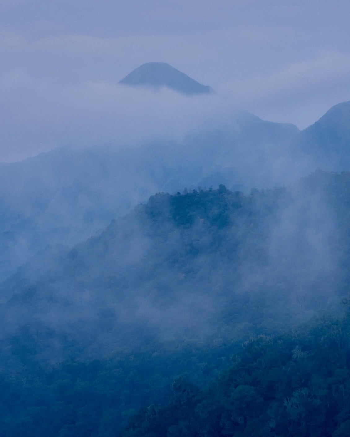 DH Culture BP Arianna Lago 14