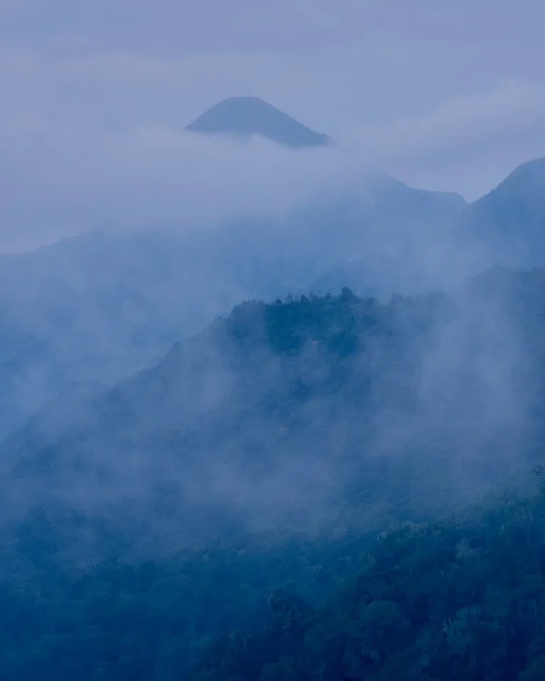 DH Culture BP Arianna Lago 14