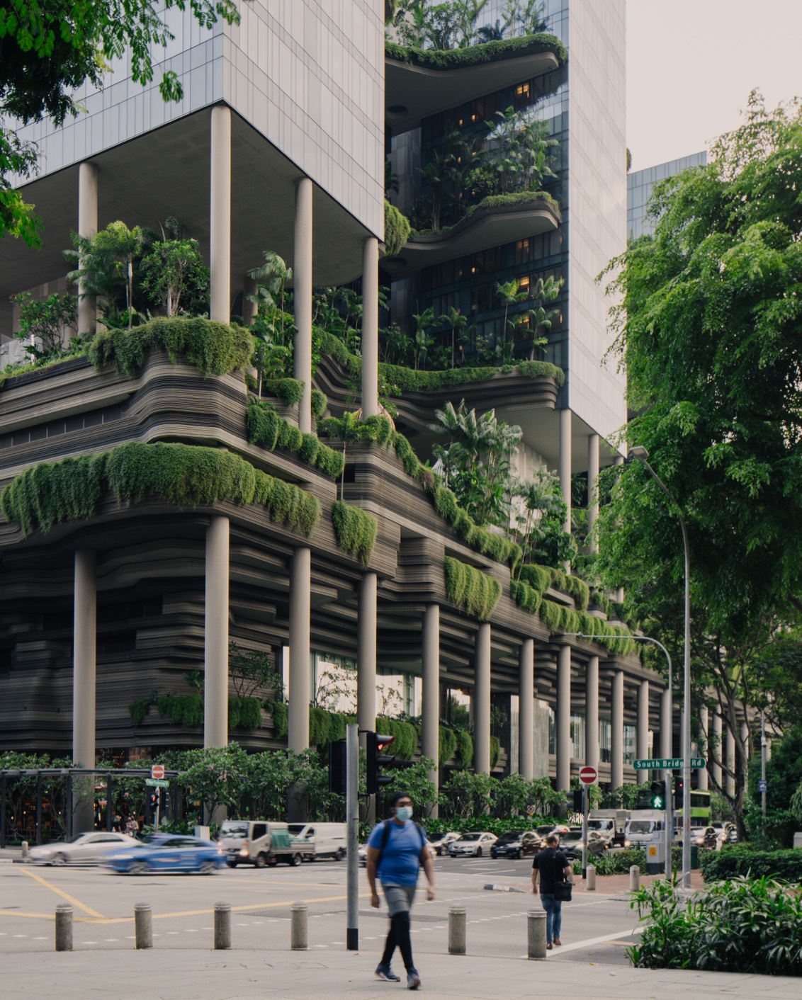 DH Originals Richard Hassell 09 A