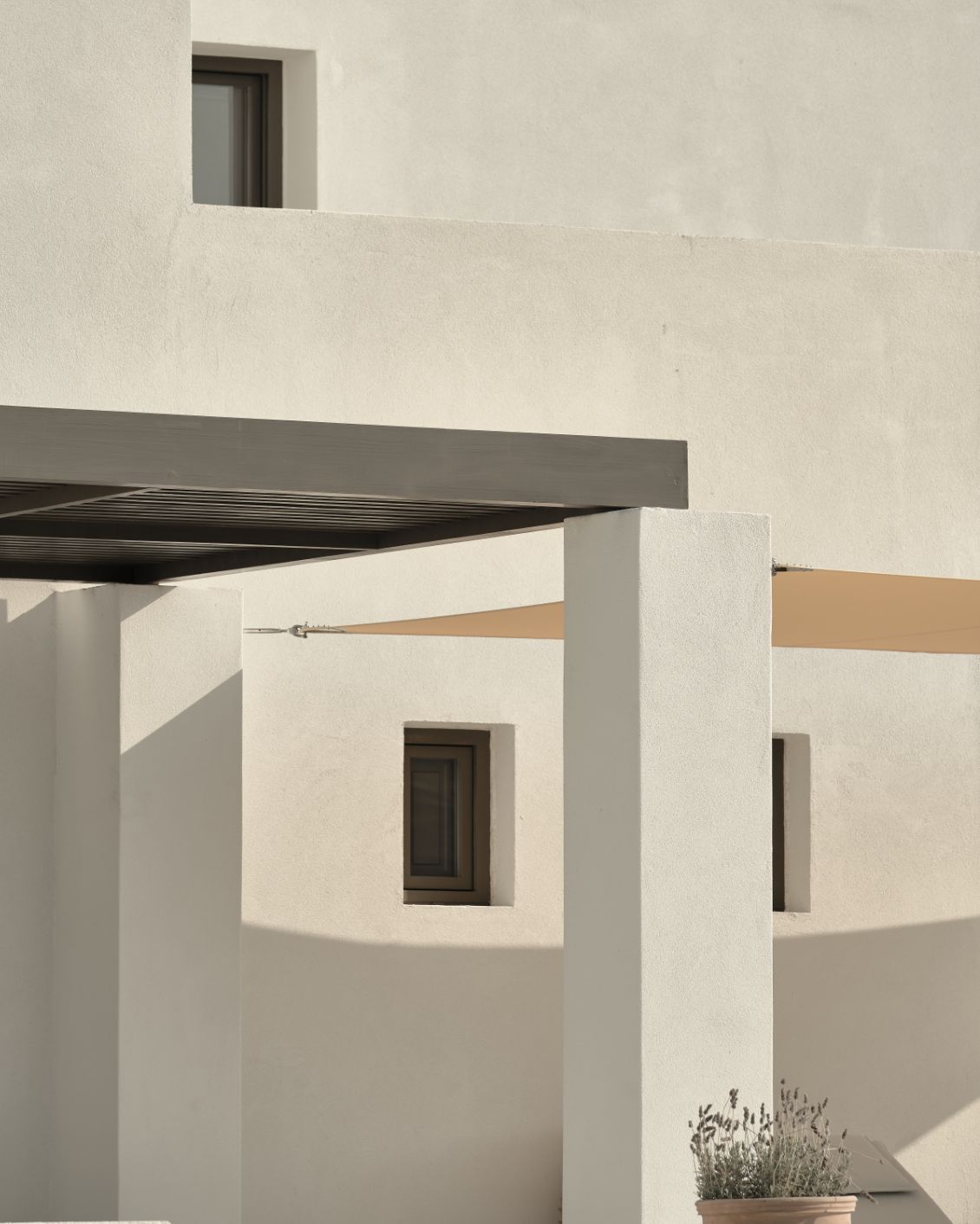 22 Female Wellness Parilio Architecture Light