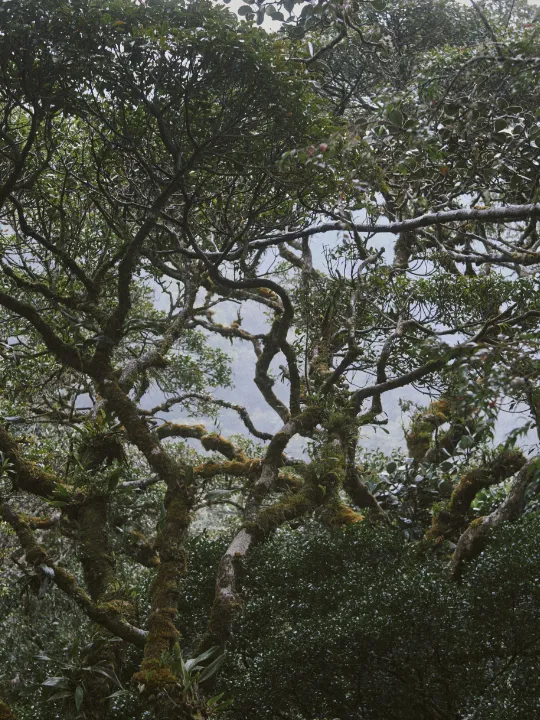 12 Directions Costa Rica