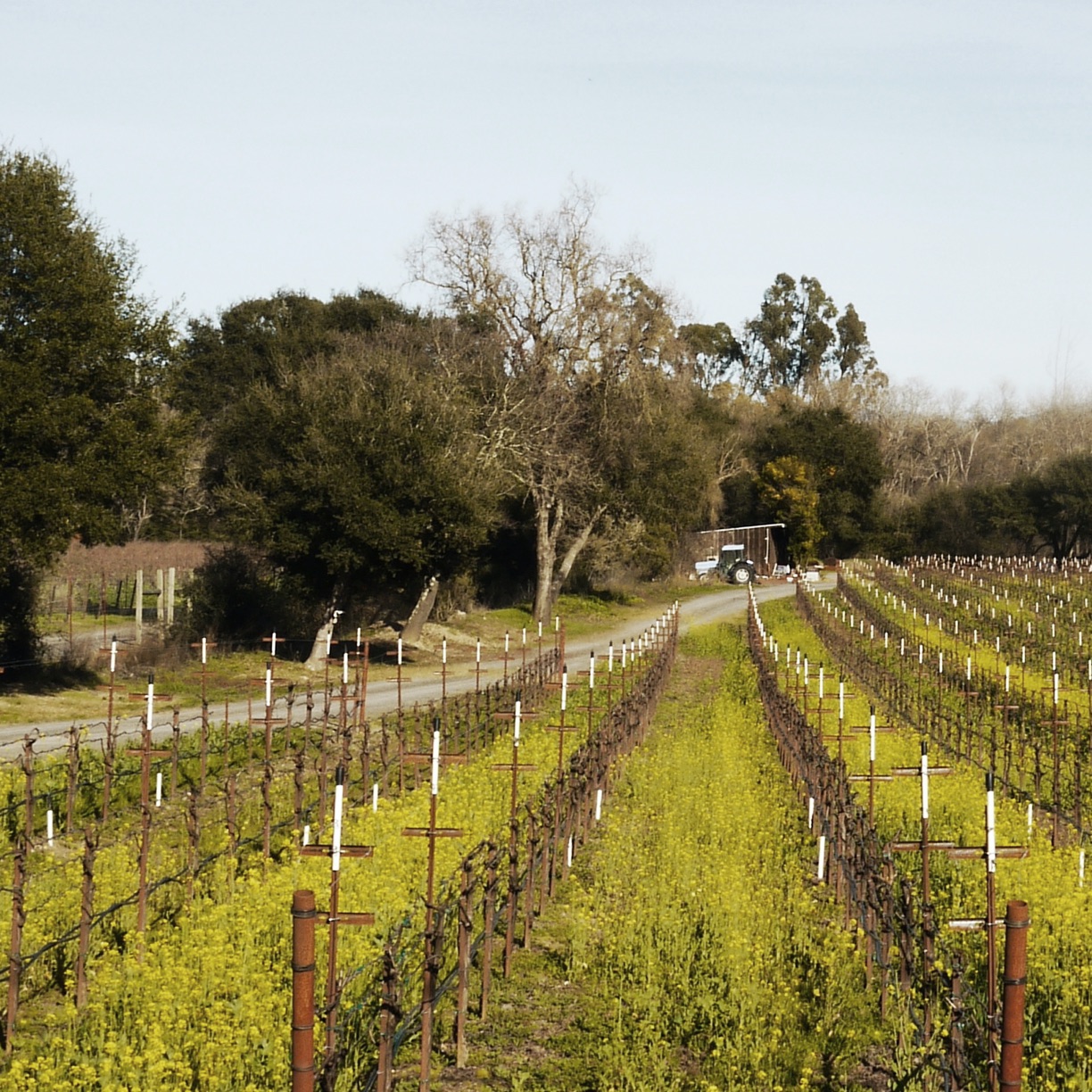 Sustainable Hotel Harmon Guest House 01