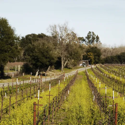 Sustainable Hotel Harmon Guest House 01