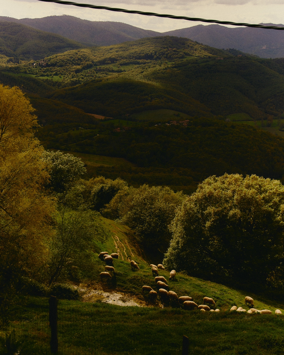 Journal Article Monastic 17.1