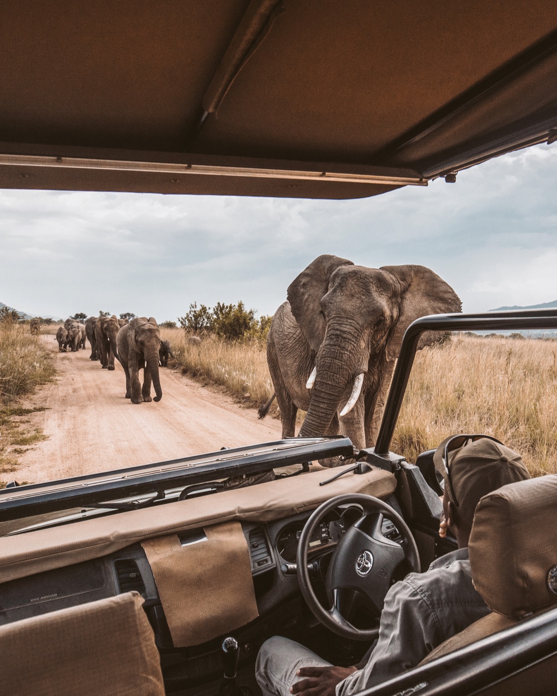 02 Trippin Ethical Ecotourism Safari