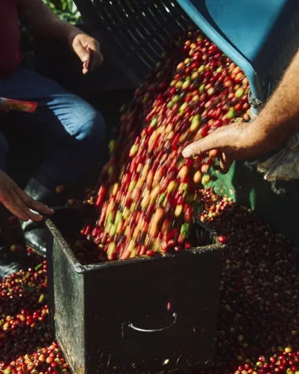 22 Directions Costa Rica