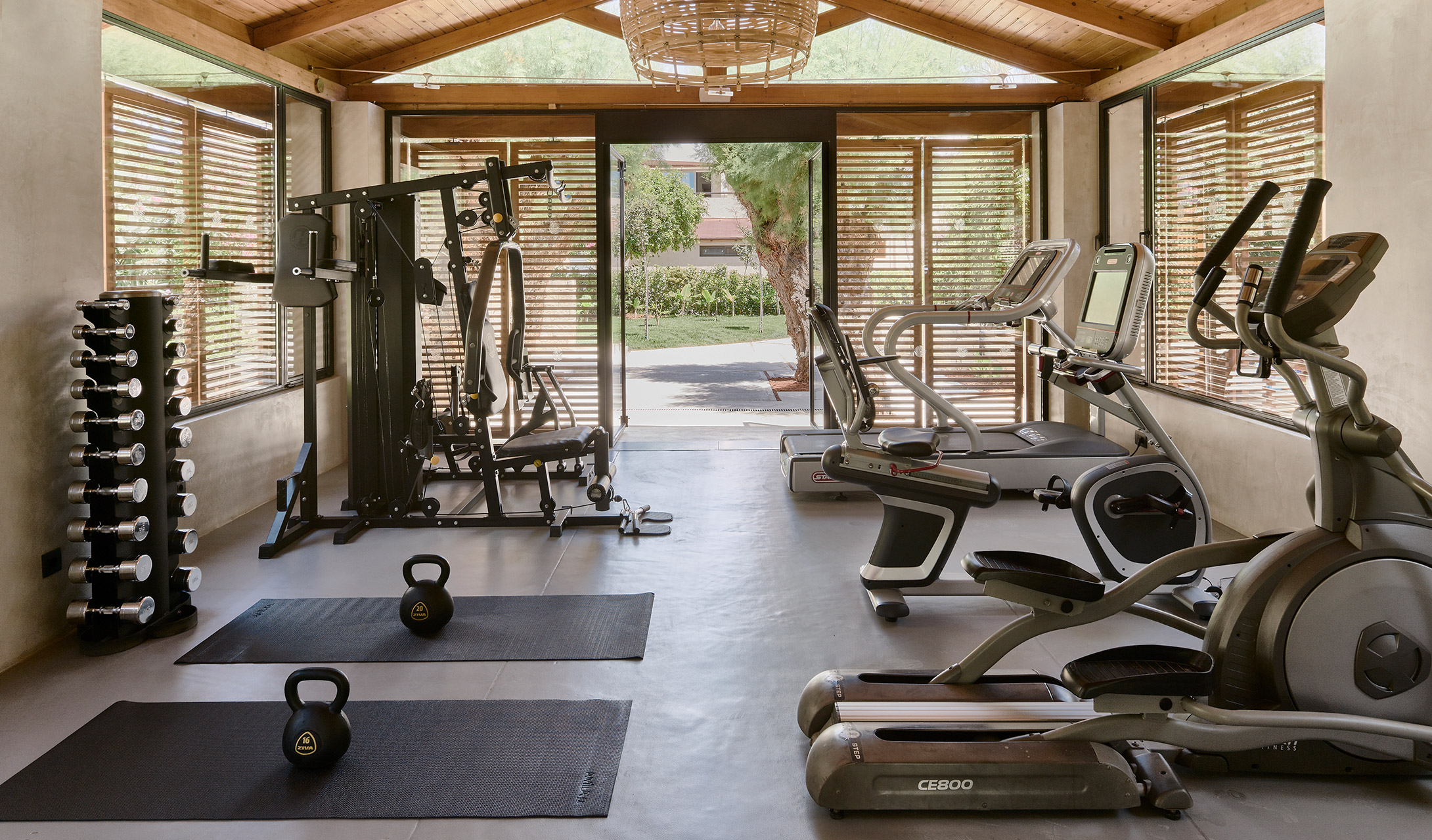 G 43 Phaea Cretan Malia