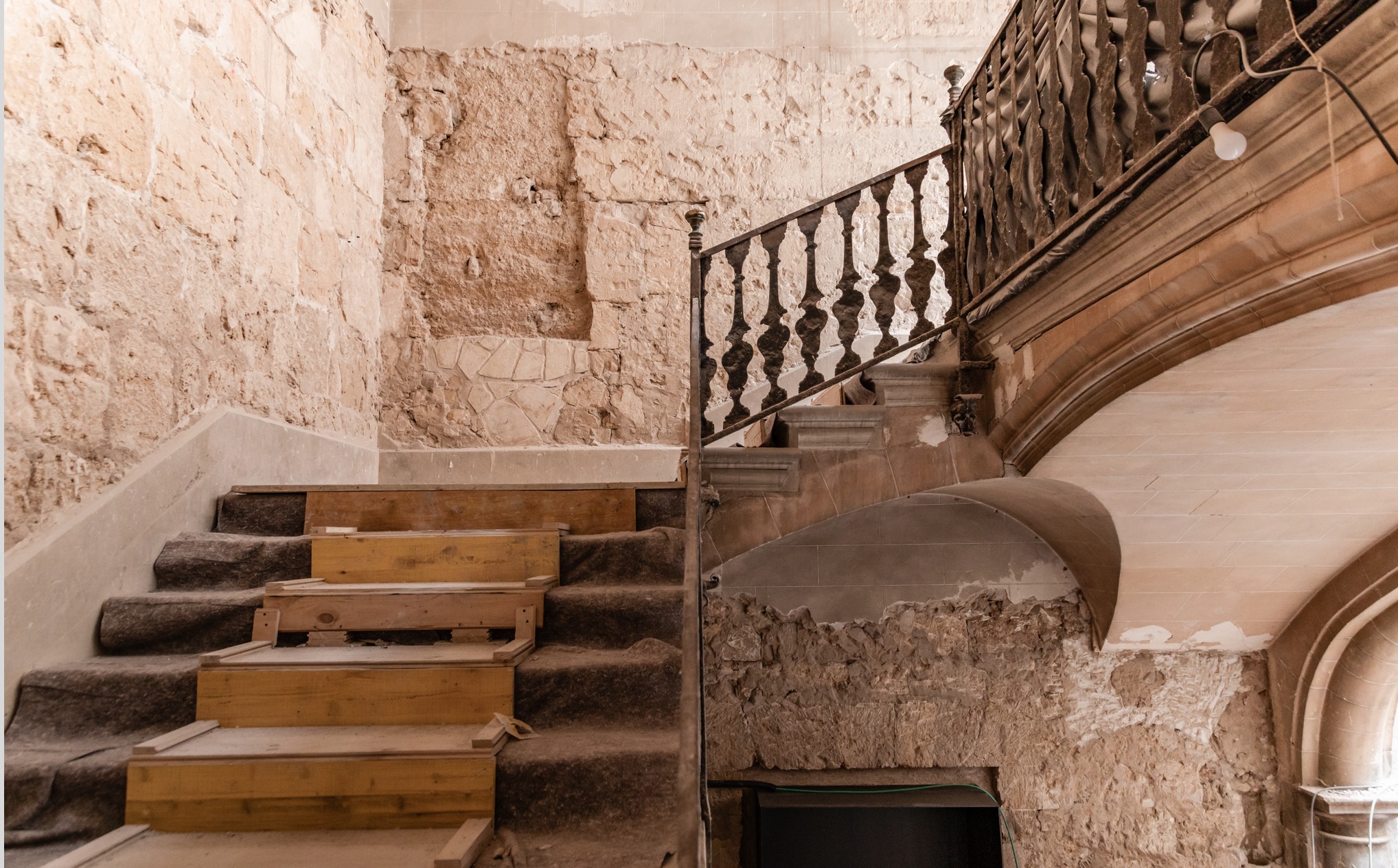 015 SP Nobis Palma Carousel 05Jpg