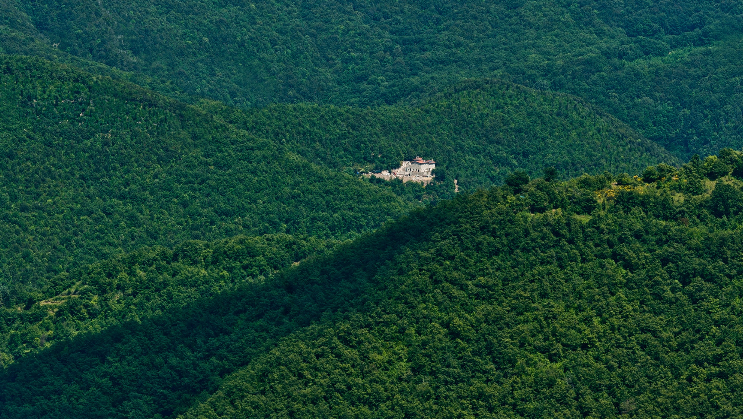 Journal Article Monastic 03