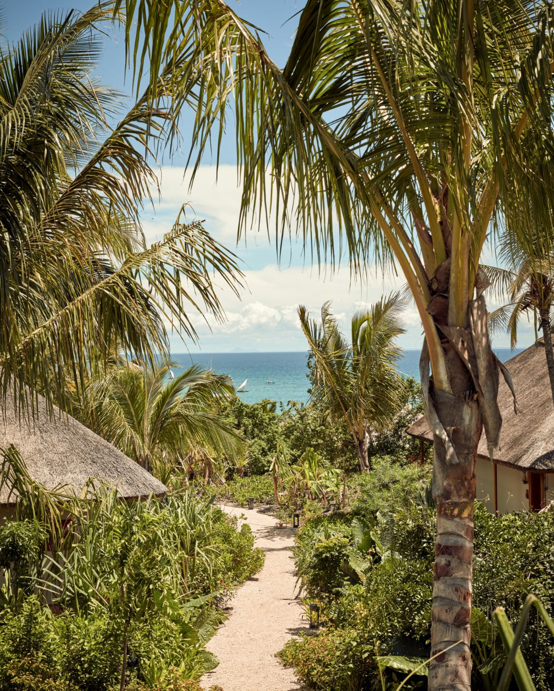 24 Hotels Enhancing Longevity Zuri Zanzibar Exterior Garden