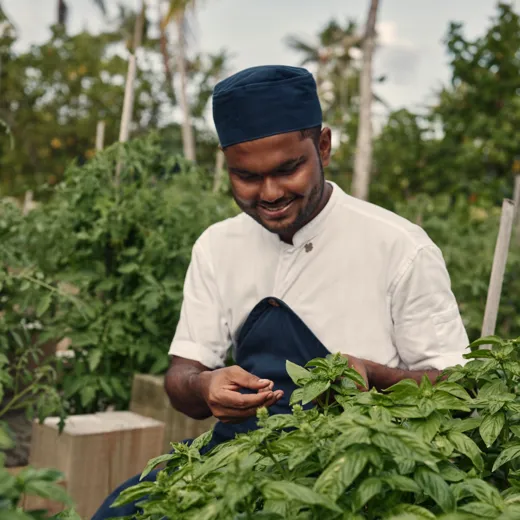 Concious Hotel Patina 02