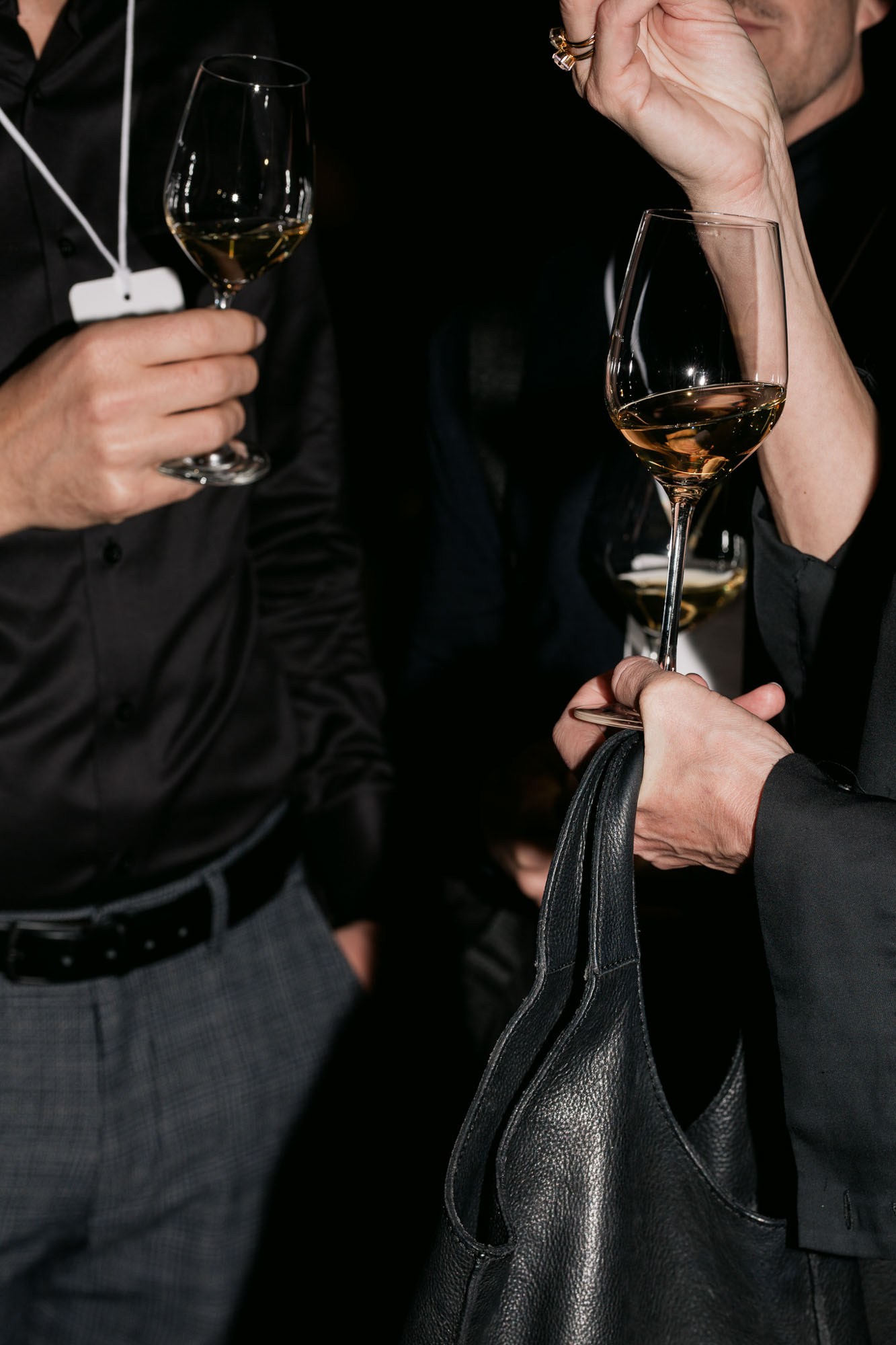 DH24 CE Hamburg Travelpro 15