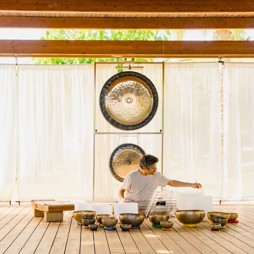 Phaea Cretan Malia Theme Box 05 Wellness 2.1