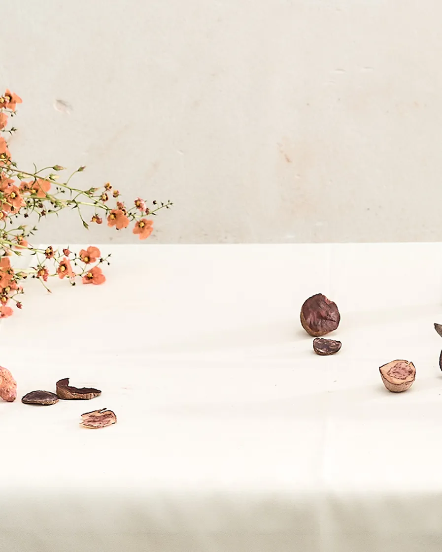 Pachamama S Land Part 3