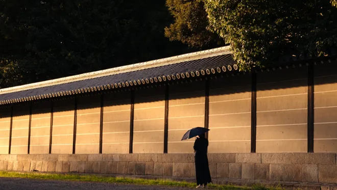 Journal Article Monastic 19