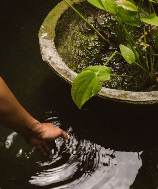 04 Sneak Peak Magia De Uma Bathroom Pond Detail