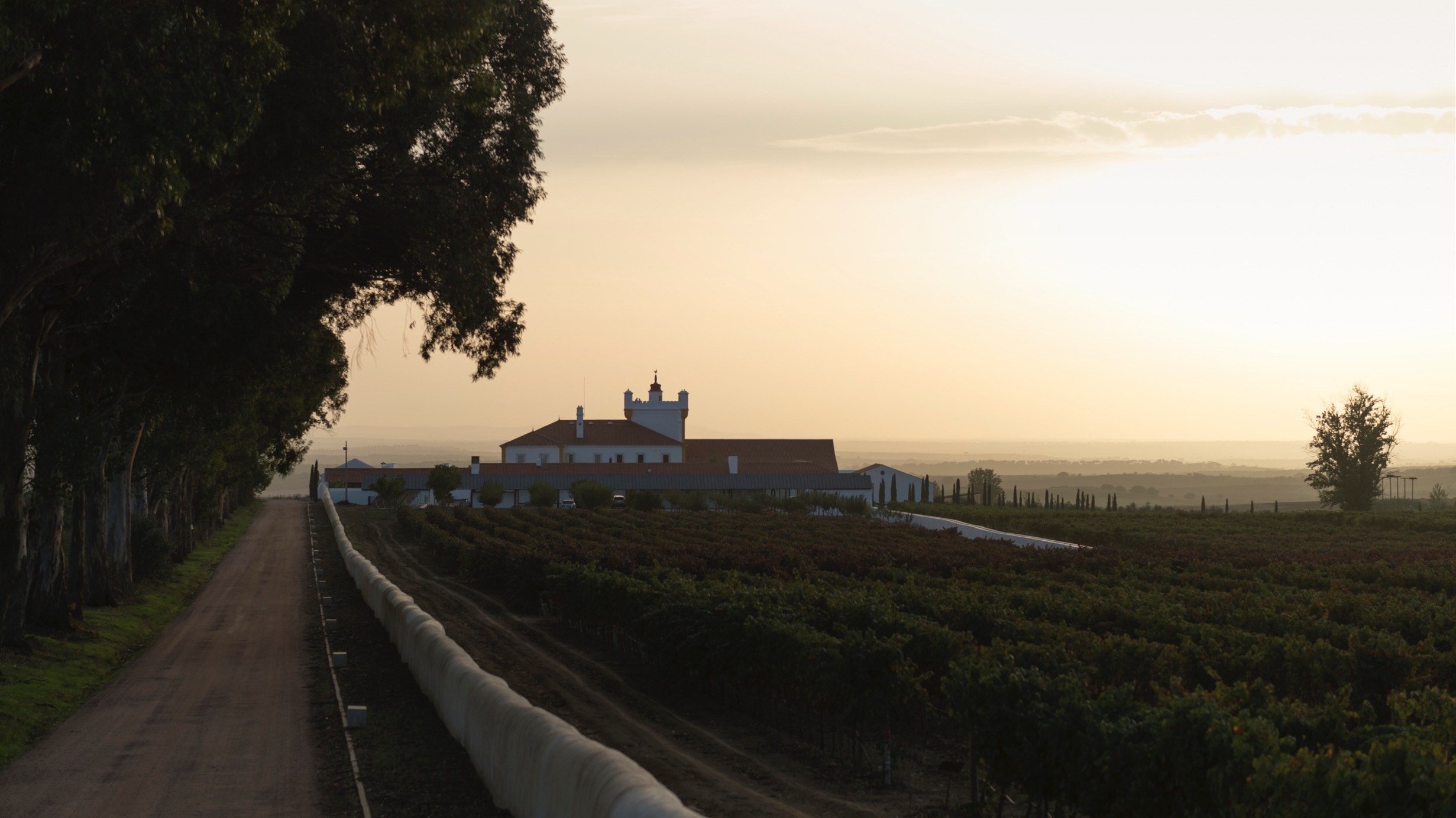 008A Torre De Palma Wine Hotel Wine Region Hotel