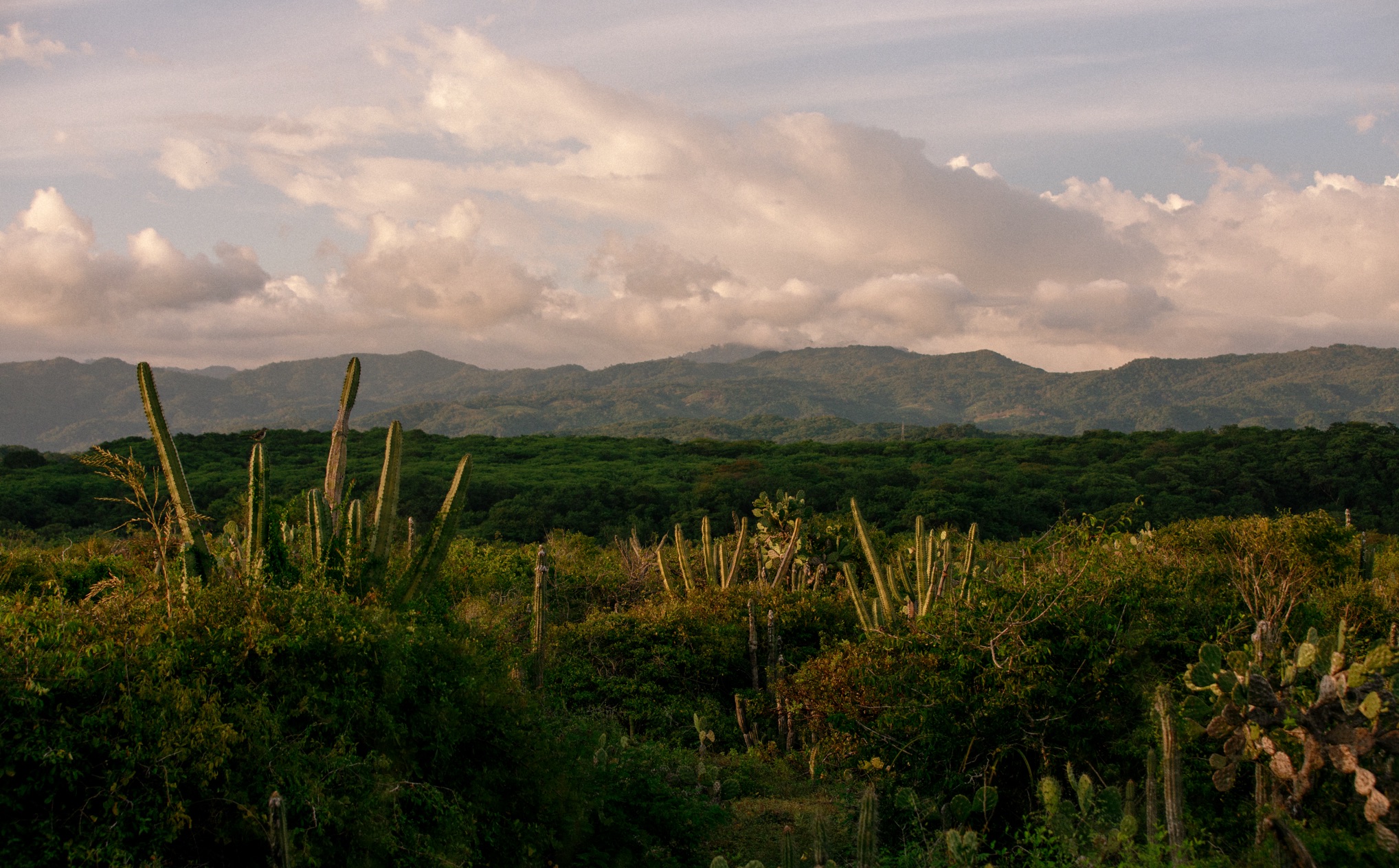 009A Puerto Escodido Landscape