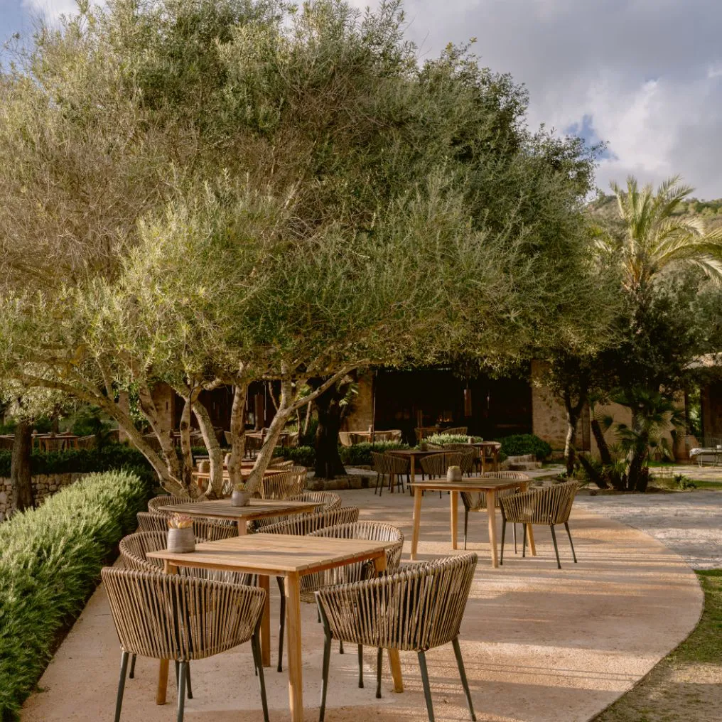 Es Raco D Arta Theme Box 02 Food And Drink 2