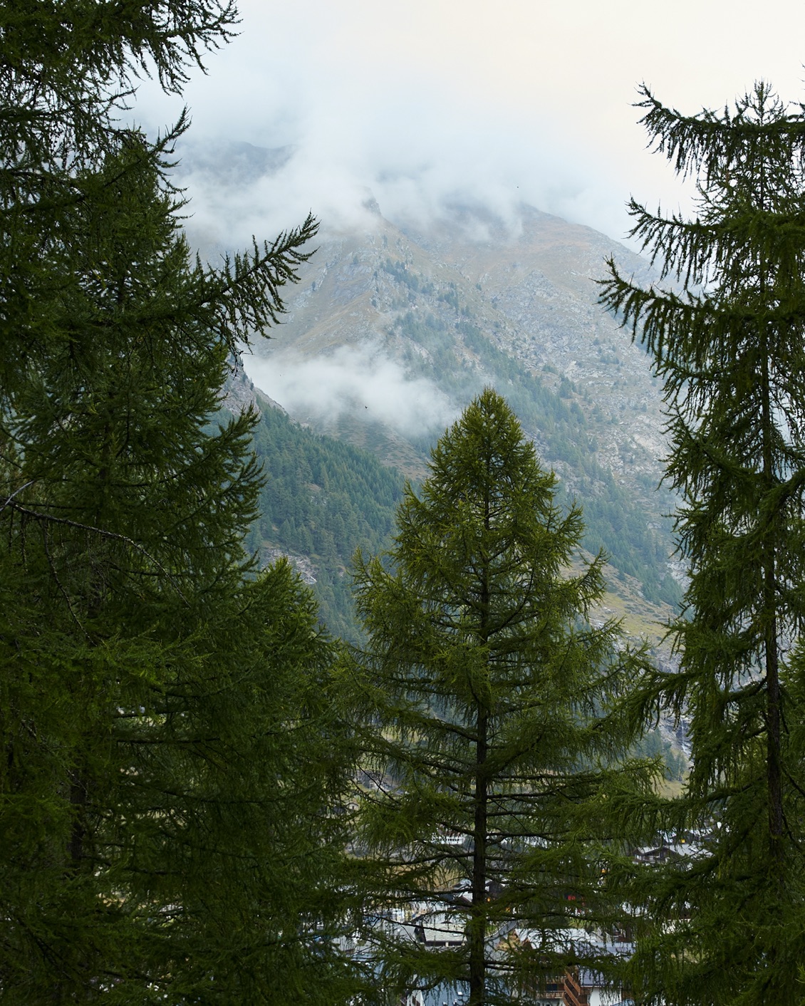 BP Cervo Panel Recap 04