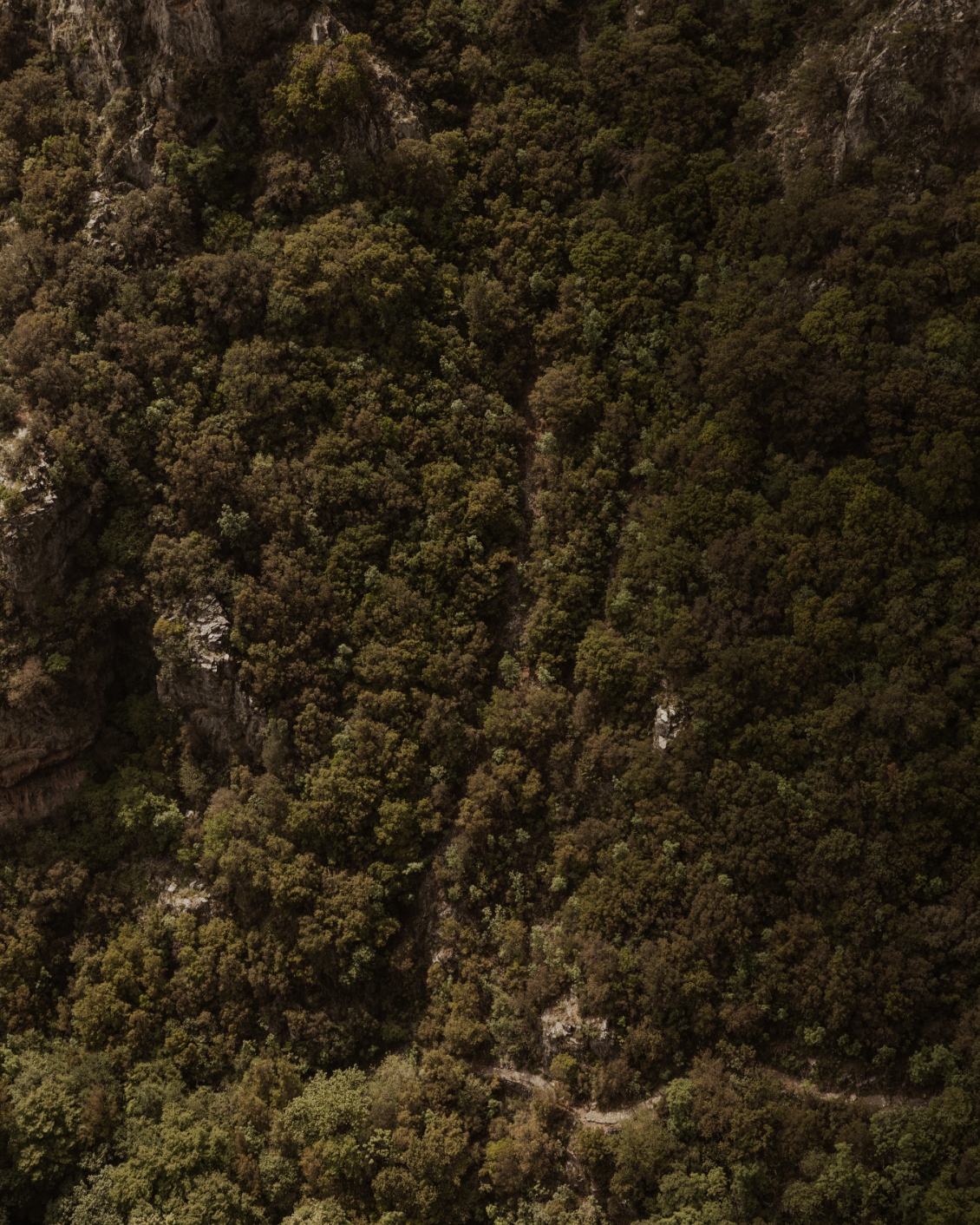 SP Manna Journal Article Design 1