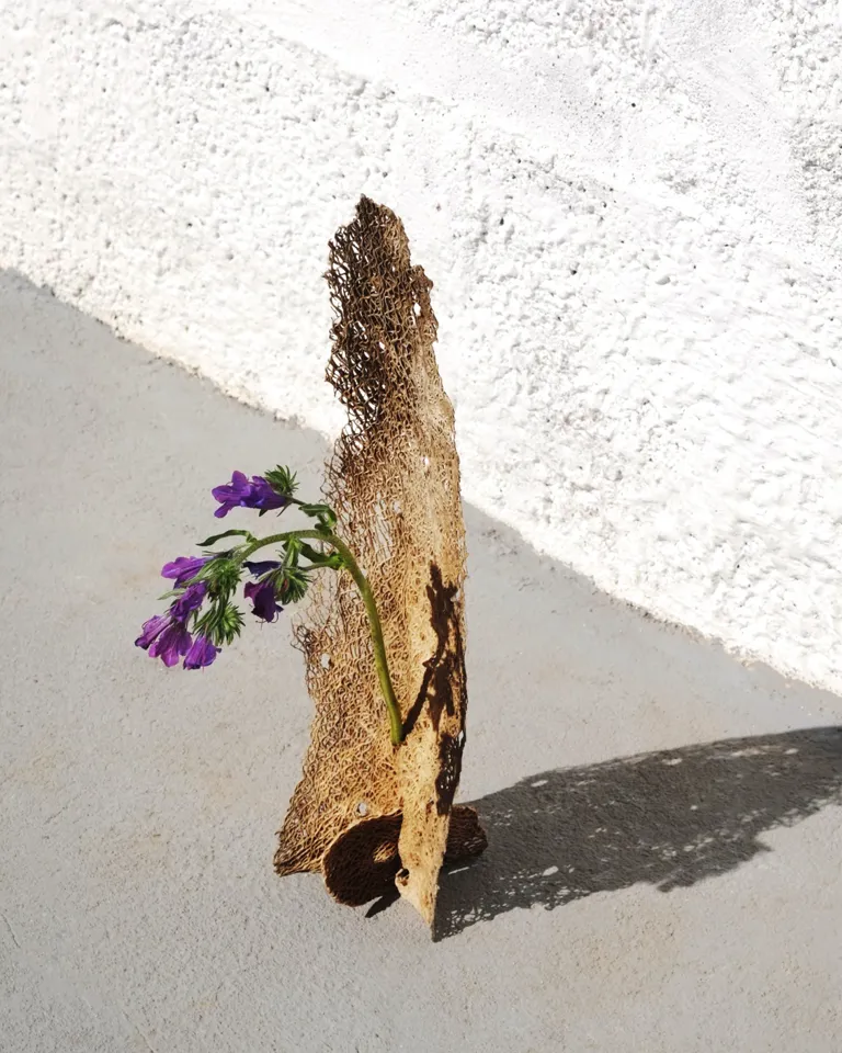 BP My Private Oddyssey 03