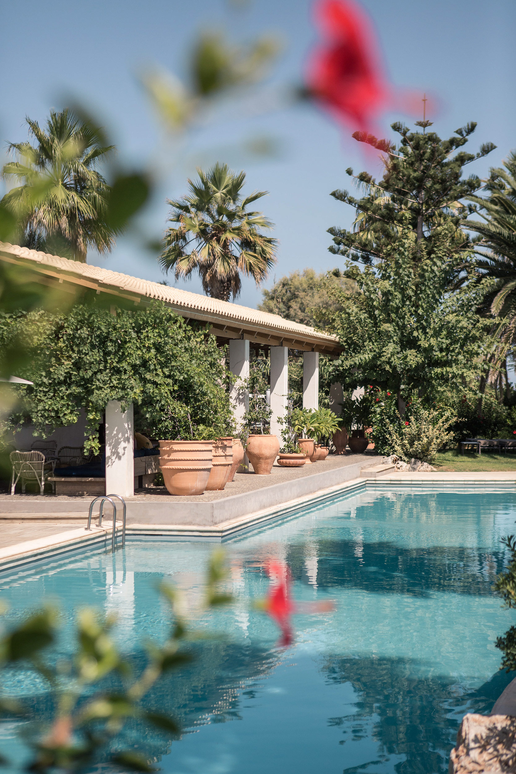 G 13 Phaea Cretan Malia