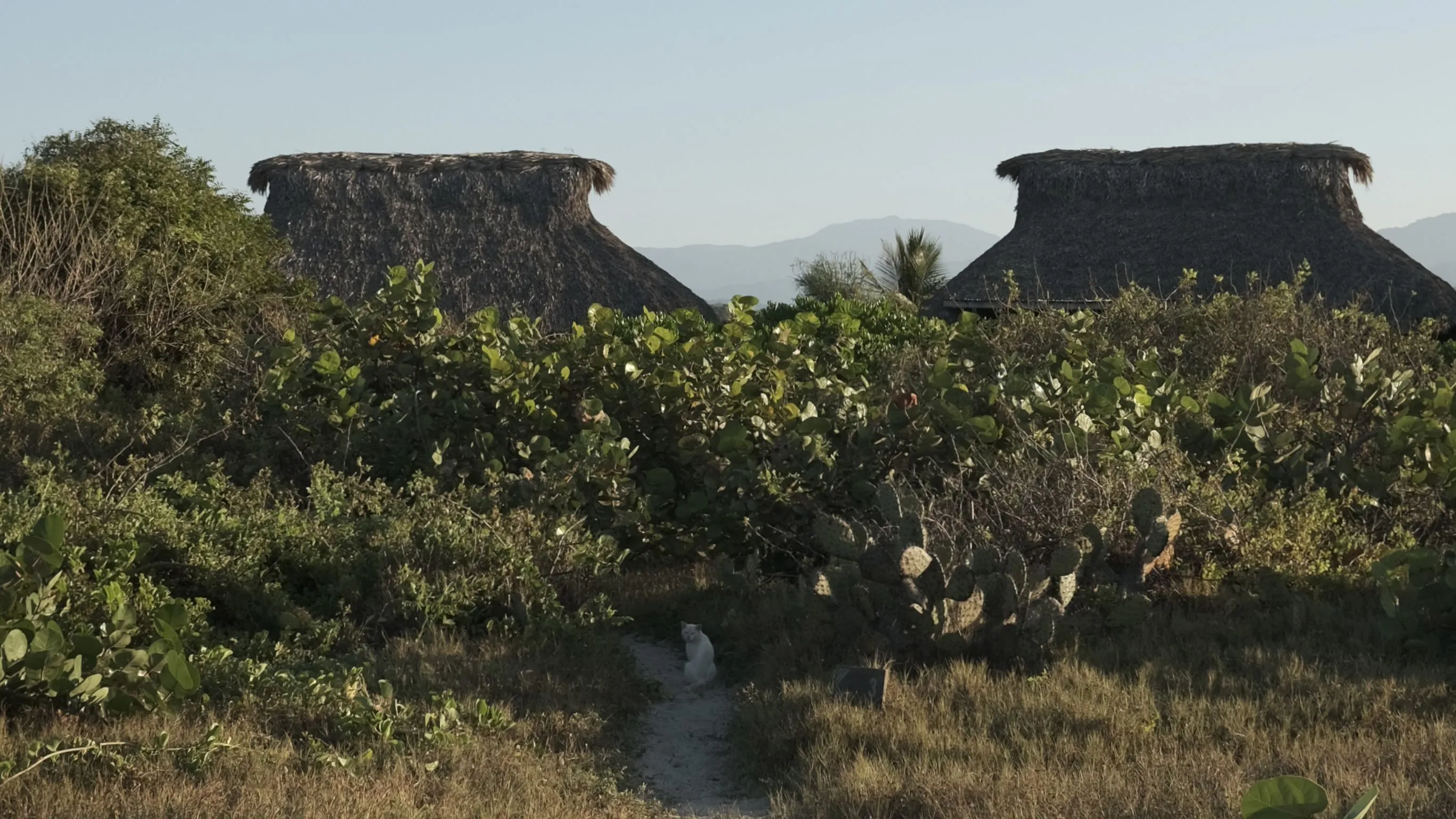 22 DH Essay By Maya Poon Love Letter To Oaxaca Hotel Escondido Hammock