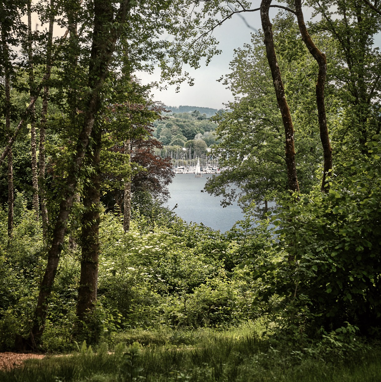 Conscious Eye Seezeitlodge 02