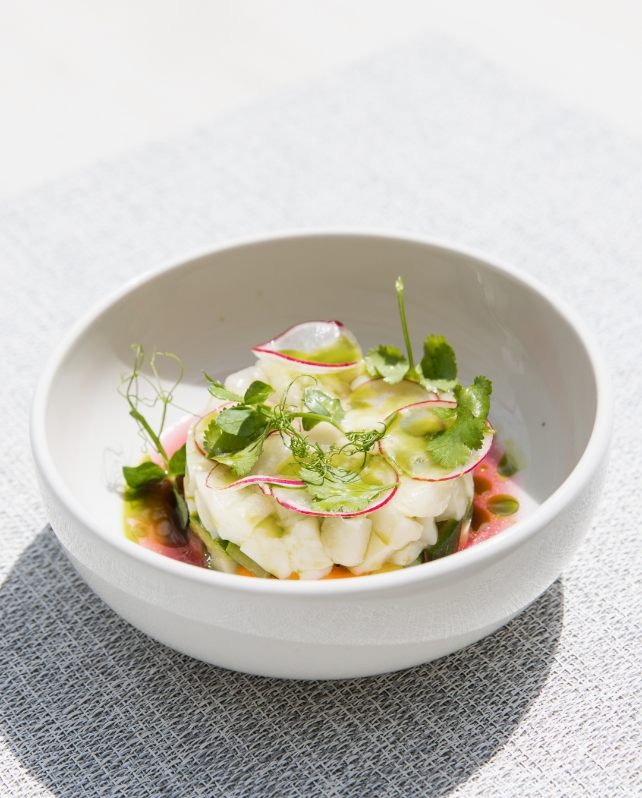 Giardino Lago Usp 02