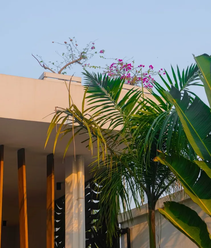 MBO La Maison Palmier Image 10