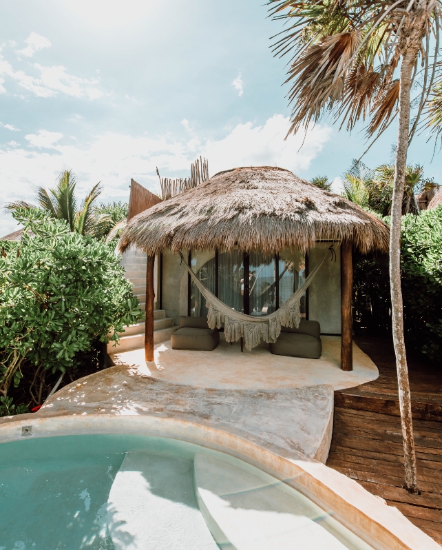 Papaya Playa Project Usp 01