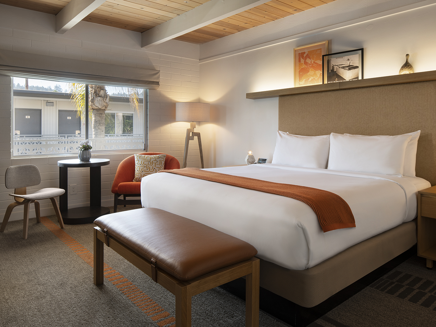 Dr Wilkinsons Deluxe King R 01