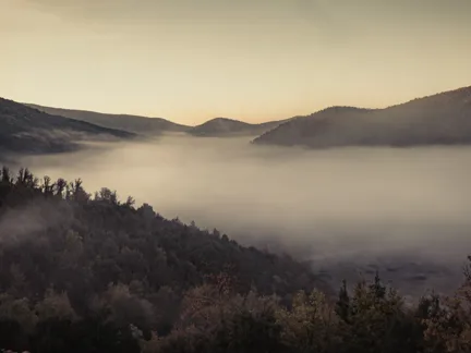 02 Culture Blogpost Fall Foliage