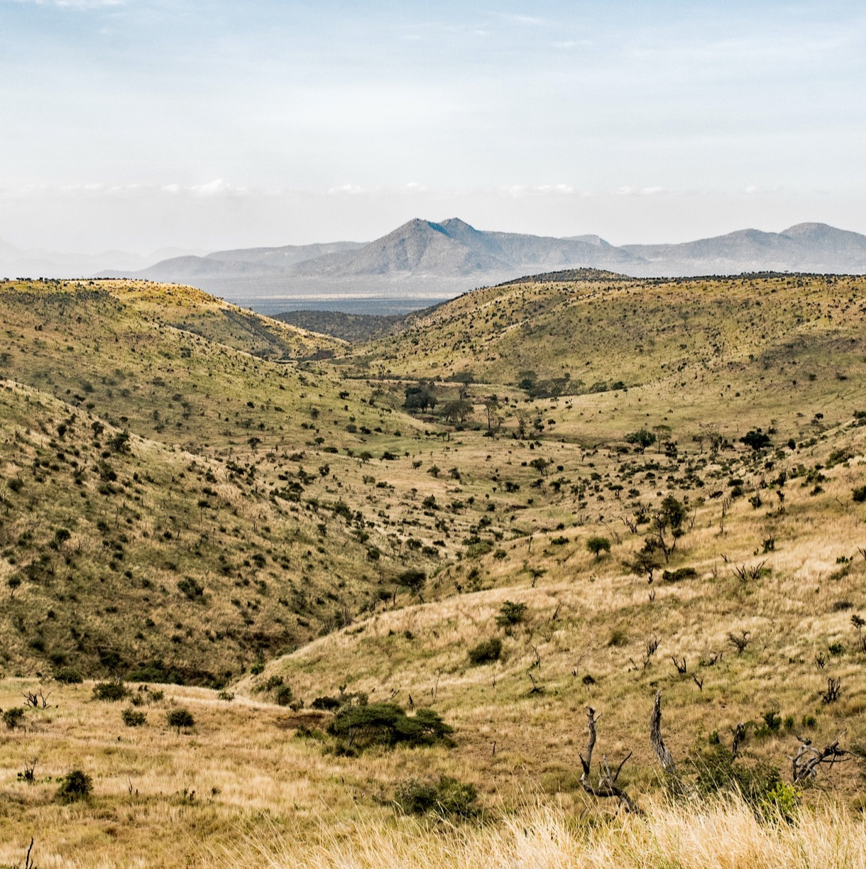 Concious Hotel Tribe 02