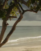 02 Interview With Neil Markey