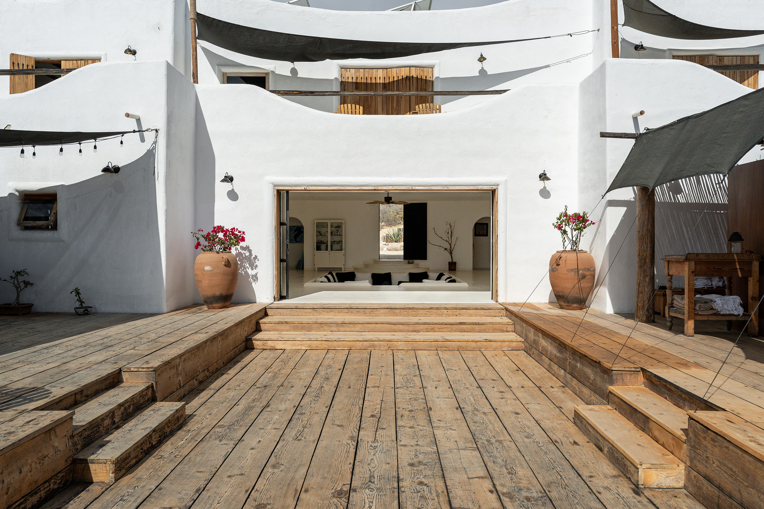 G 21 Nest Baja Mexico