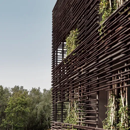 Conscious Eye Seezeitlodge 01