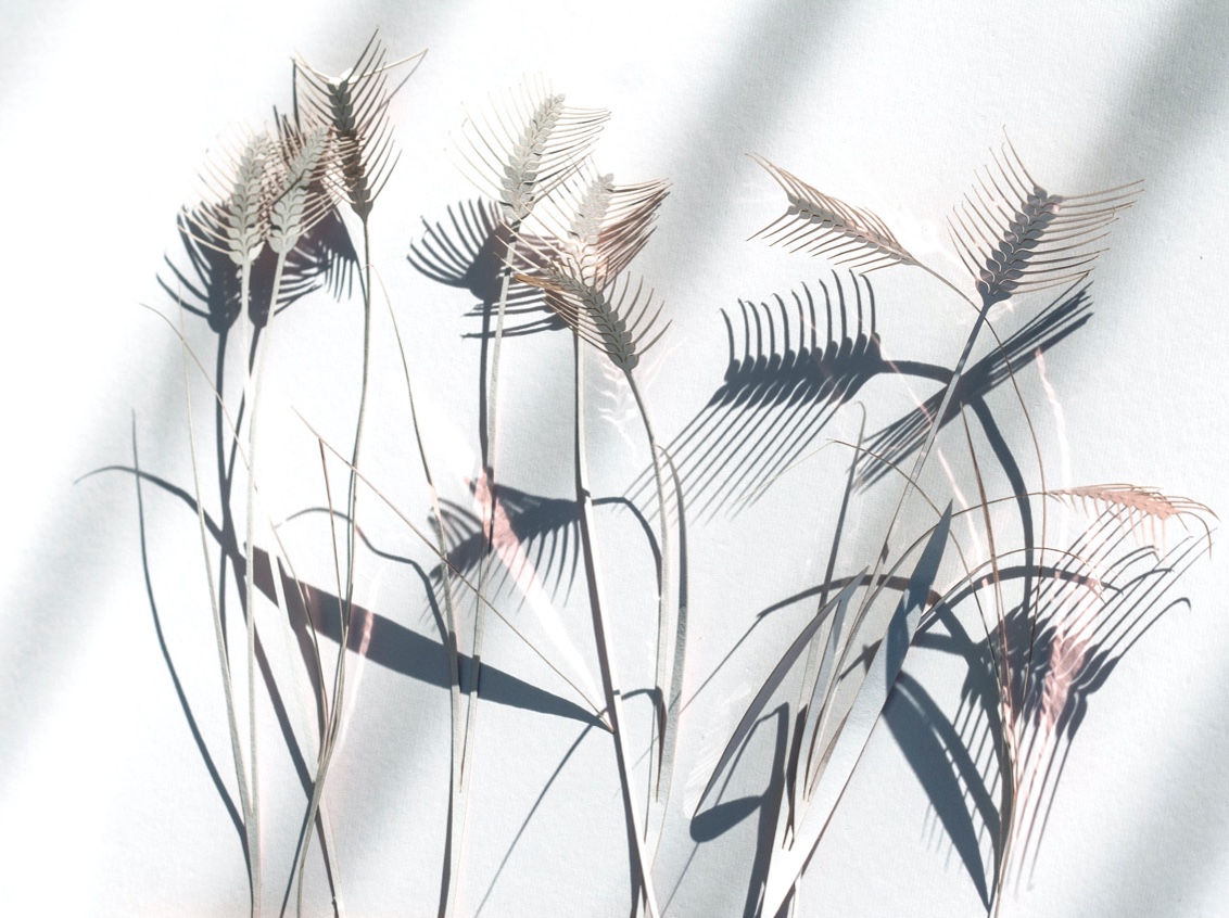 Design Diaries Anne T Rogers 005