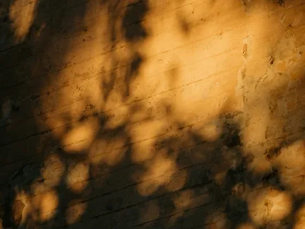 010 Elizabeth Unique Hotel Shadows