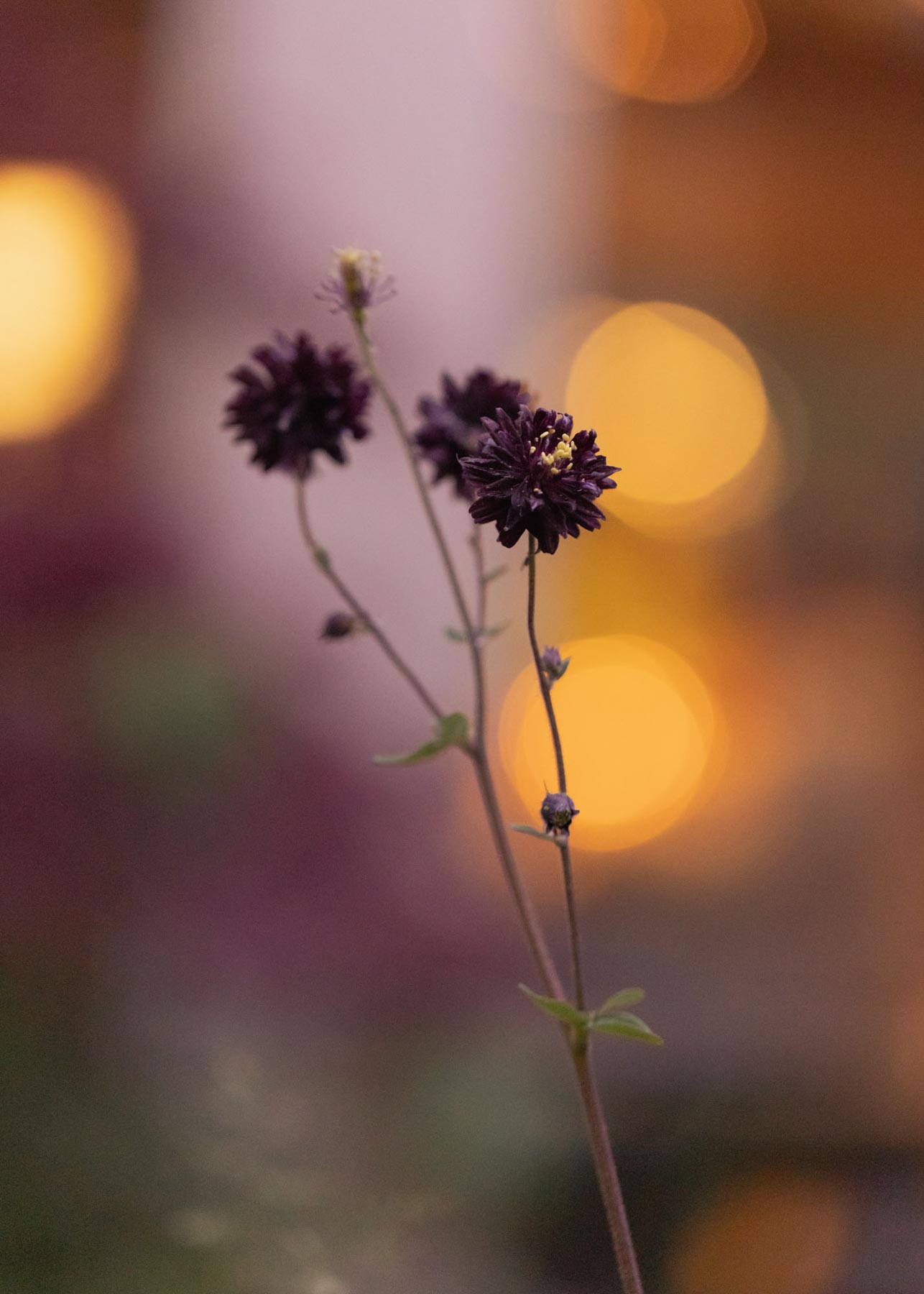 DH SALES23 CE Berlin 17