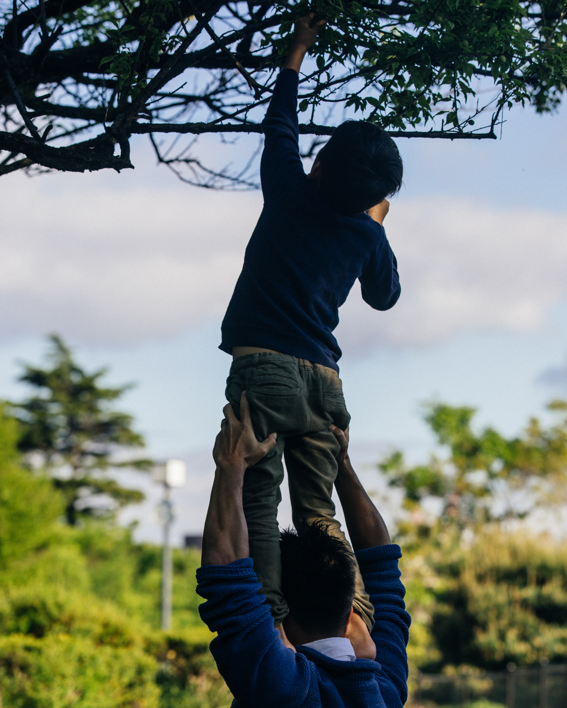 011 Yoshitaka Nojiri Family