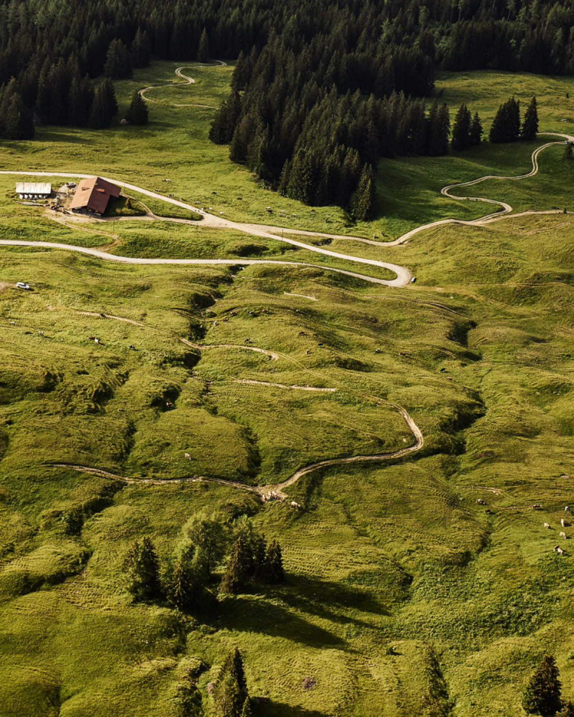 Destination Switzerland 07